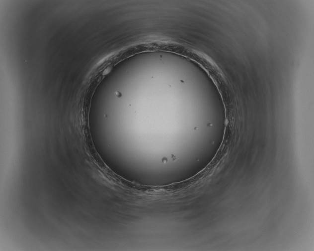 X0000110861112200906251203