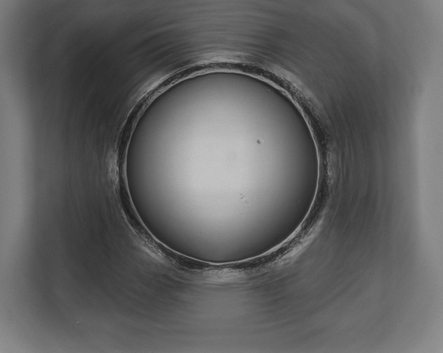 X0000110861113200906251203