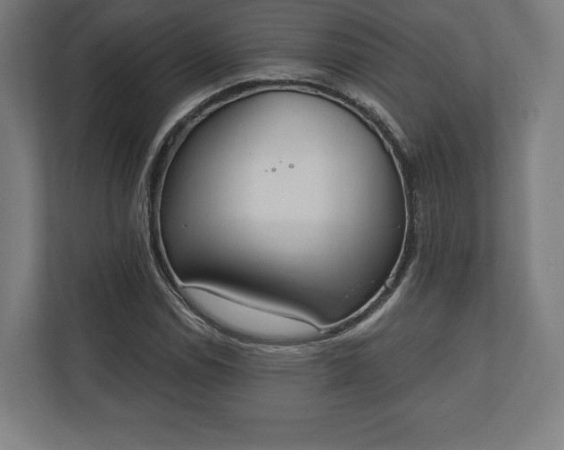 X0000110861114200906251203