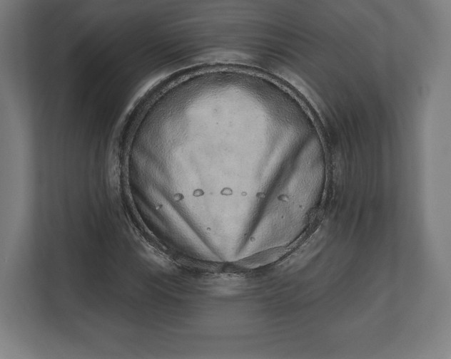 X0000110861115200906251203