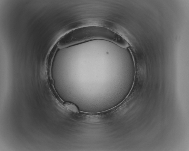 X0000110861116200906251203