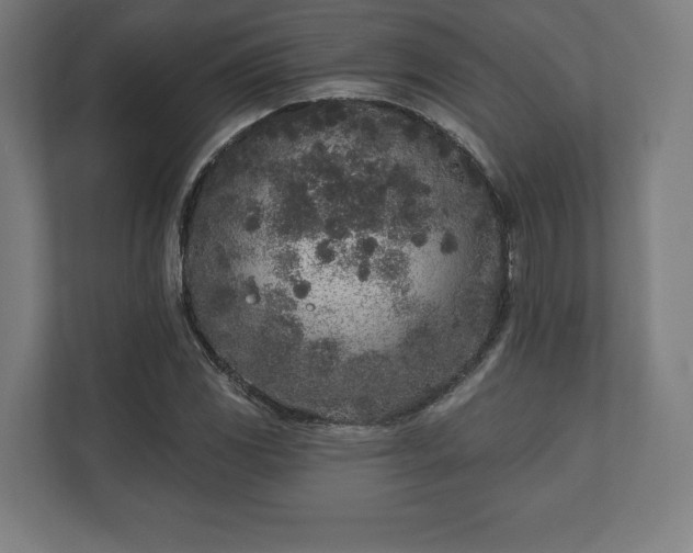 X0000110861117200906251203