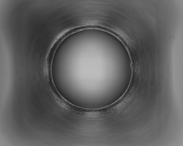 X0000110861118200906251203