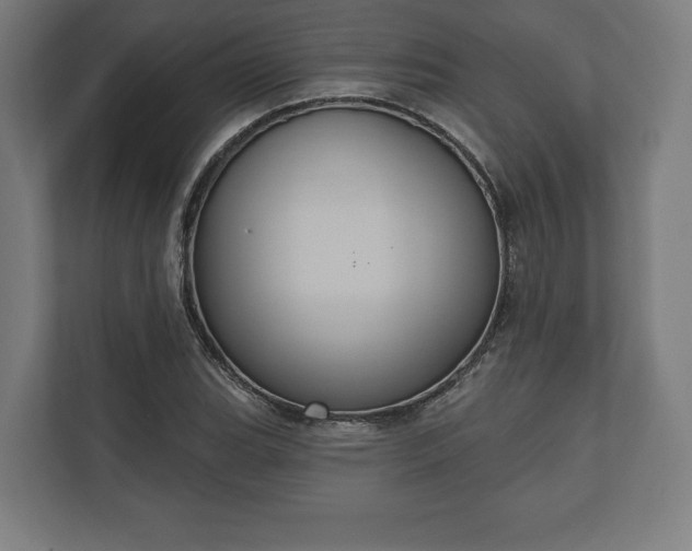 X0000110861119200906251203