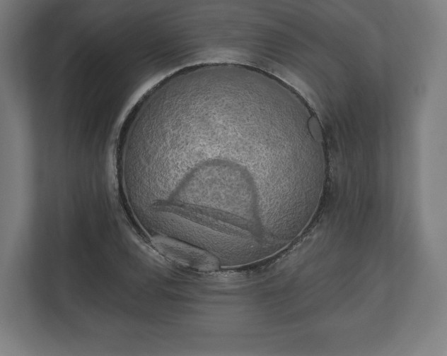 X0000110861120200906251203