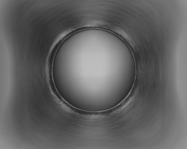 X0000110861122200906251203