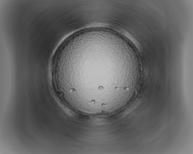 X0000110861124200906251203