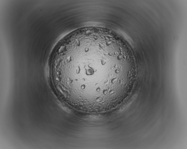 X0000110861125200906251203