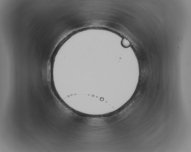 X0000110861126200906251203