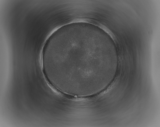 X0000110861127200906251203