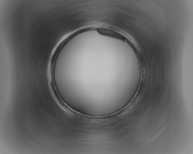 X0000110861128200906251203