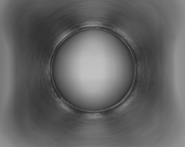 X0000110861129200906251203