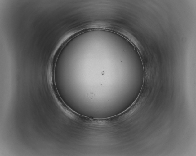 X0000110861131200906251203