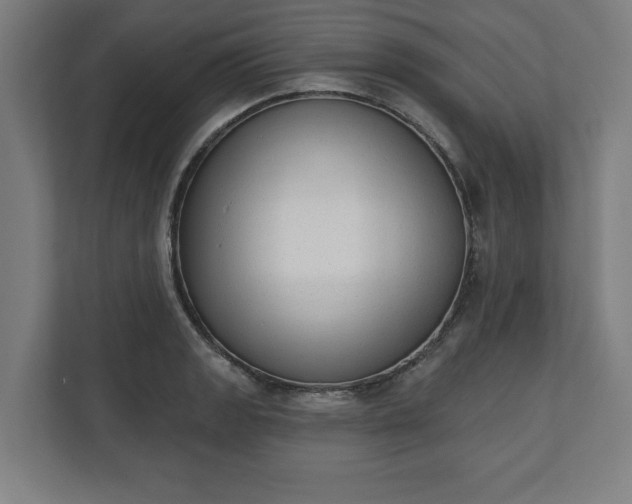 X0000110861133200906251203