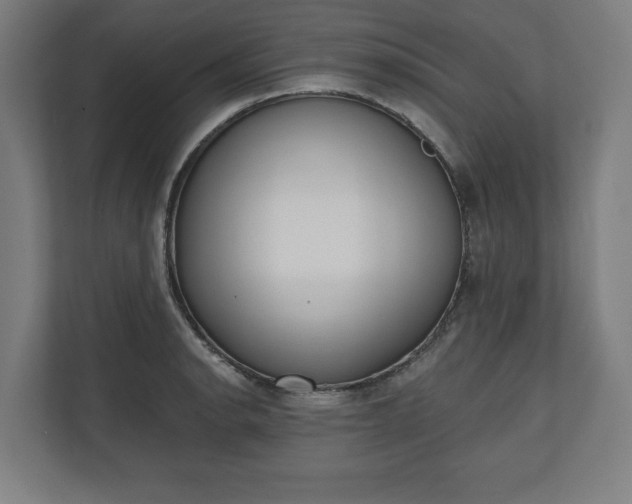 X0000110861134200906251203