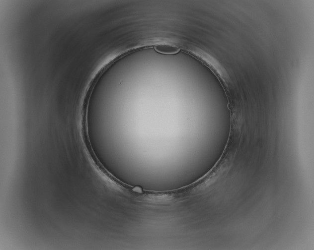 X0000110861135200906251203