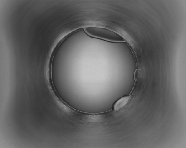 X0000110861136200906251203