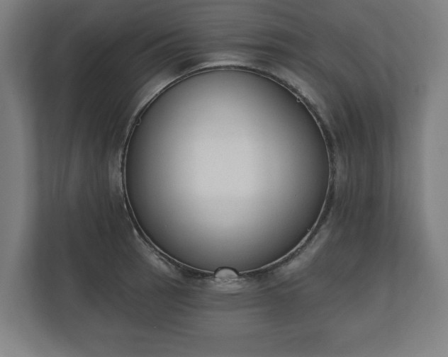 X0000110861137200906251203