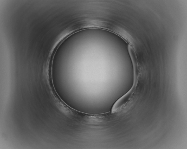 X0000110861138200906251203