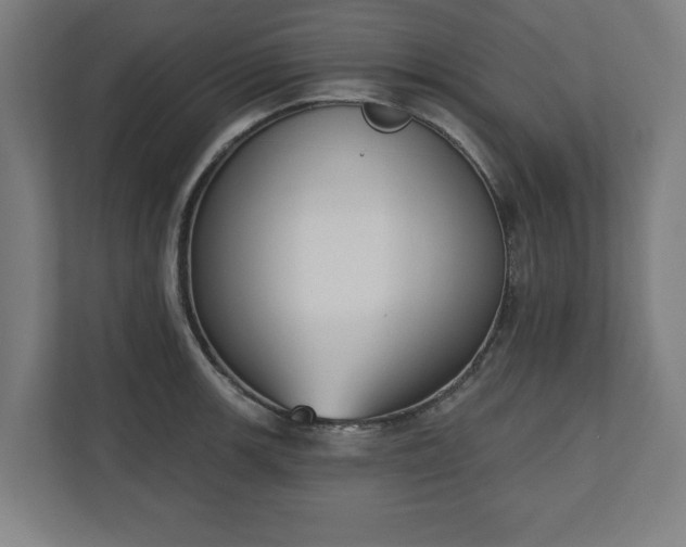 X0000110861139200906251203