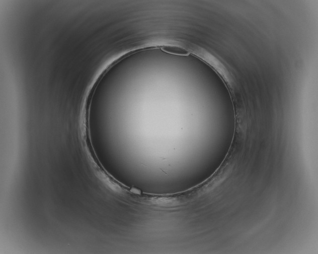 X0000110861140200906251203