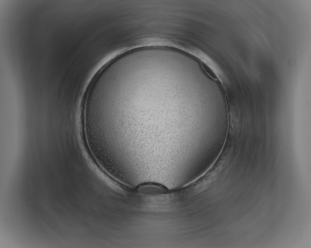 X0000110861142200906251203