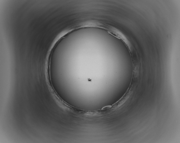 X0000110861146200906251203