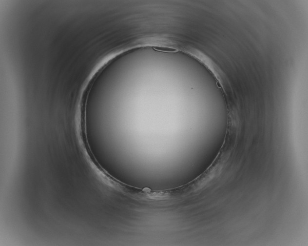 X0000110861147200906251203