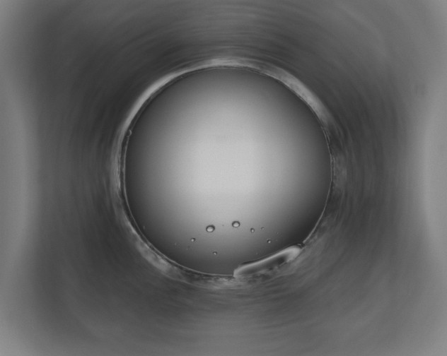 X0000110861148200906251203