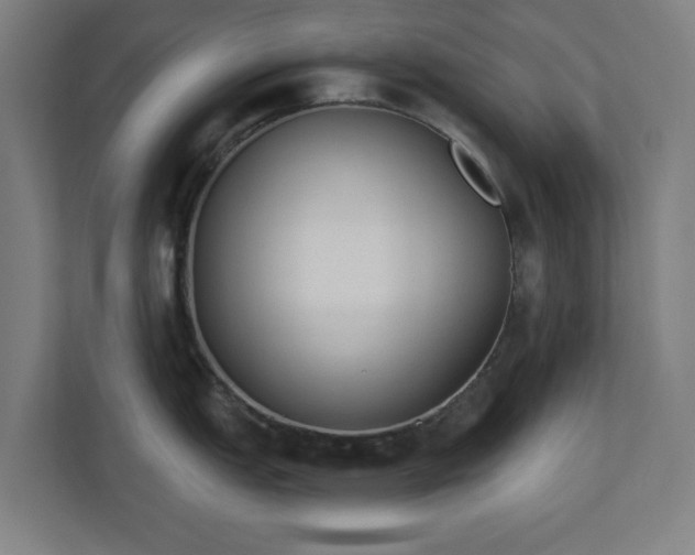 X0000110861151200906251203