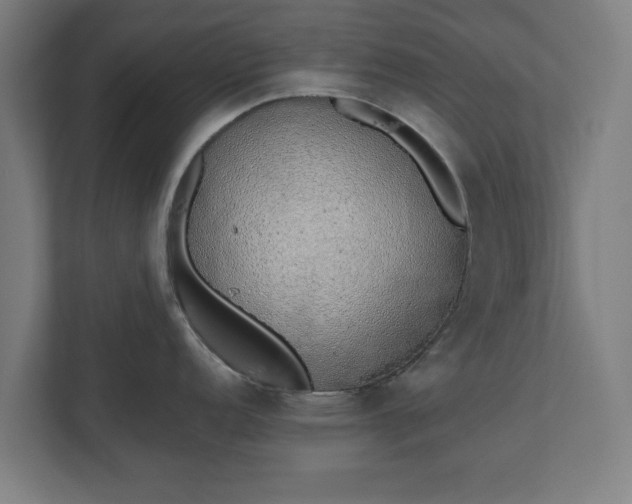 X0000110861152200906251203