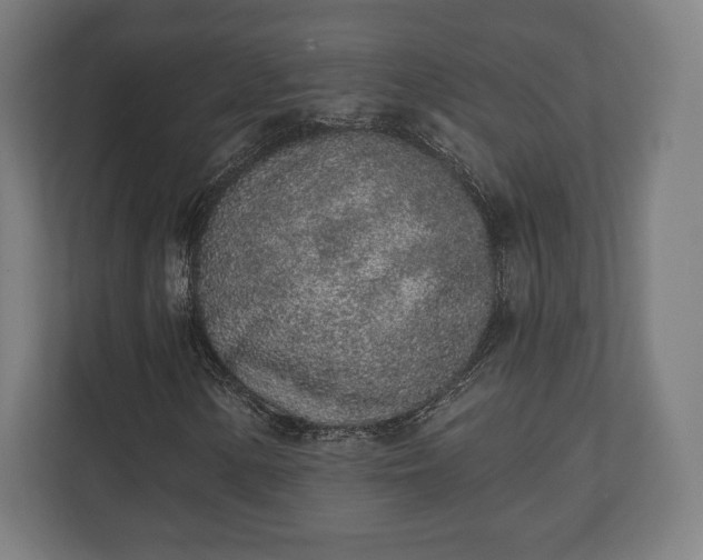 X0000110861154200906251203