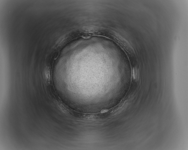 X0000110861155200906251203