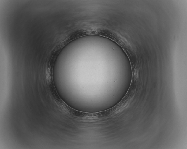 X0000110861156200906251203