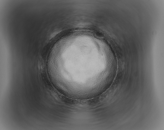 X0000110861158200906251202