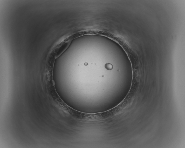 X0000110861159200906251202