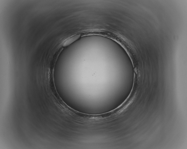 X0000110861161200906251202