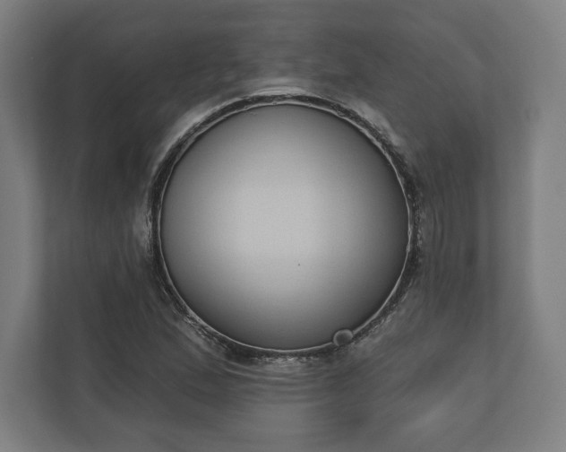 X0000110861167200906251202