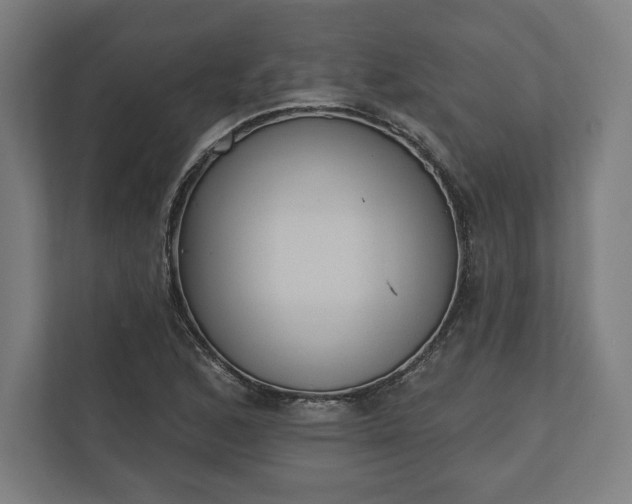 X0000110861168200906251202