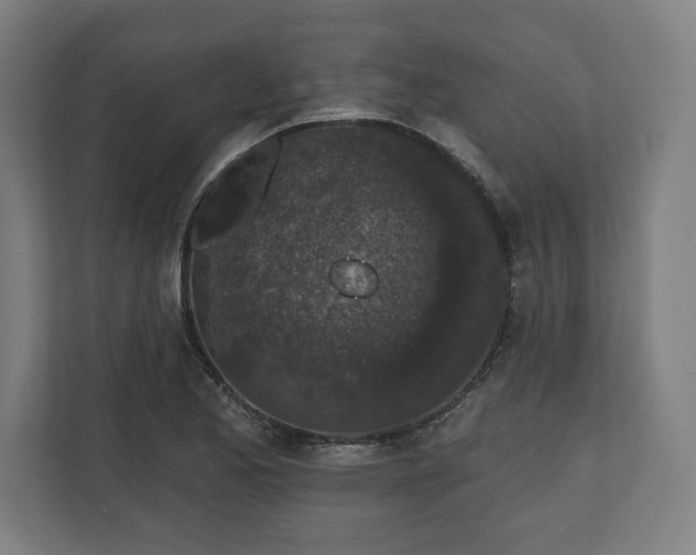 X0000110861173200906251202