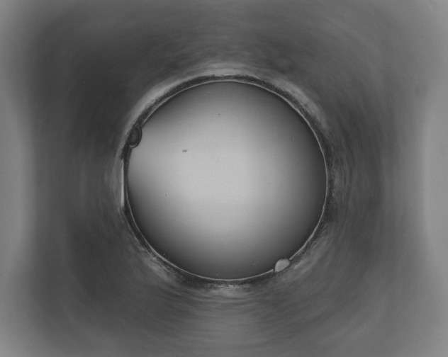 X0000110861175200906251202