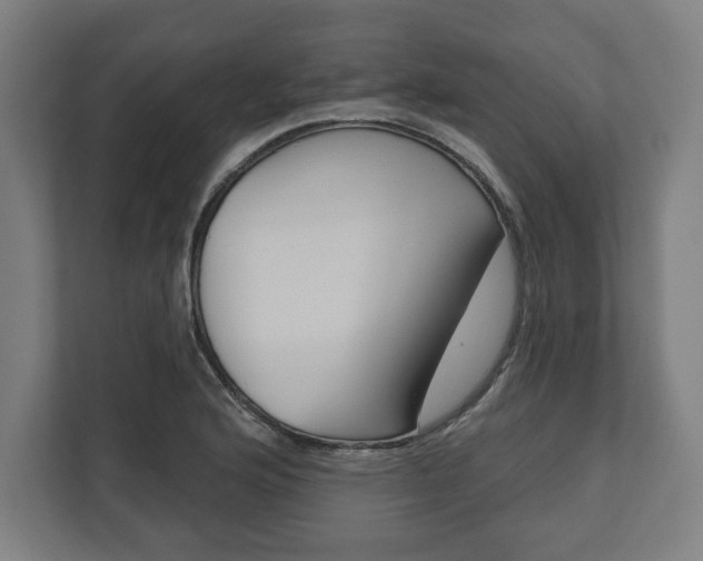 X0000110861176200906251202