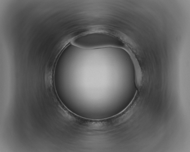 X0000110861177200906251202