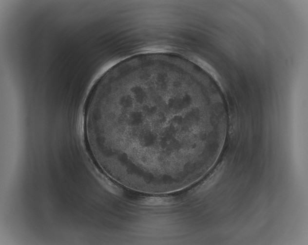 X0000110861179200906251202