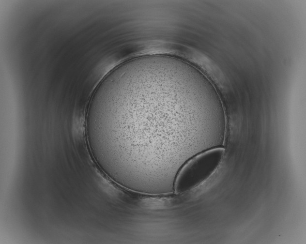 X0000110861185200906251202