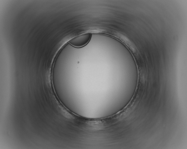 X0000110861186200906251202