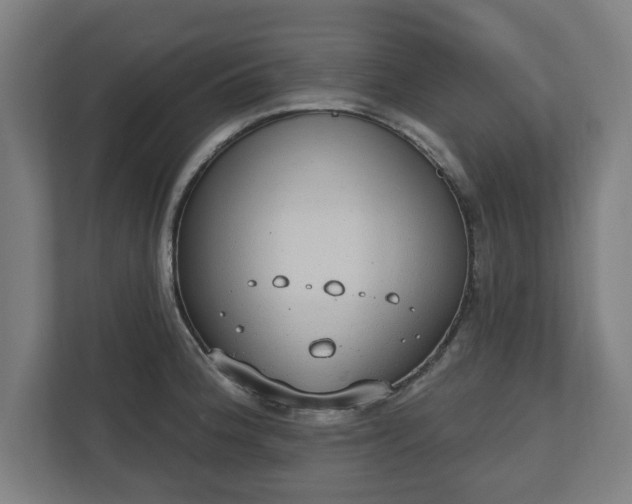 X0000110861188200906251202