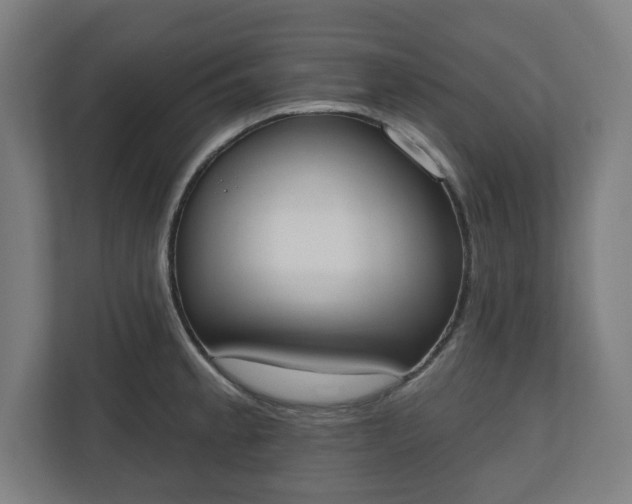 X0000110861189200906251202