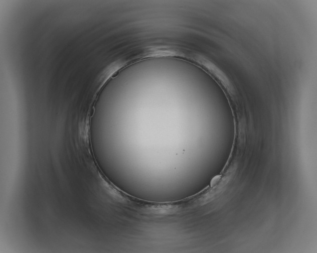 X0000110861193200906251202