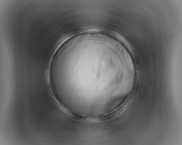 X0000110861194200906251202